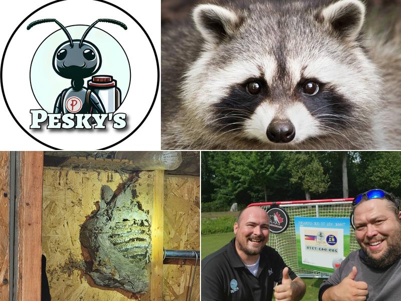 Pesky's Pest Control