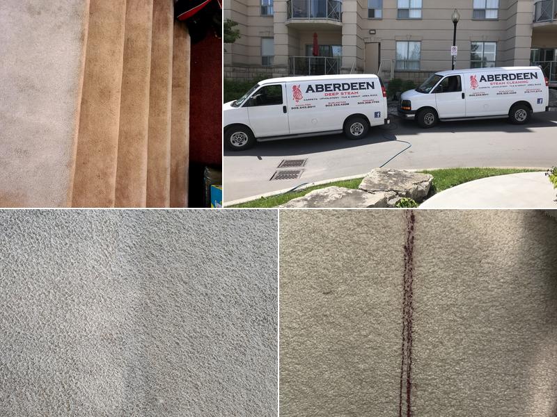 Aberdeen Carpet Cleaning Services Hamilton
