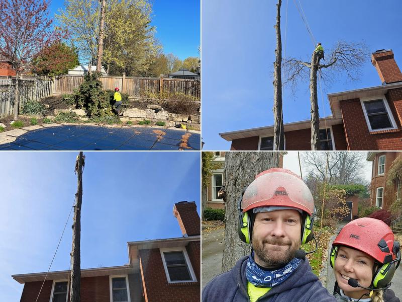 His & Hers Tree Service