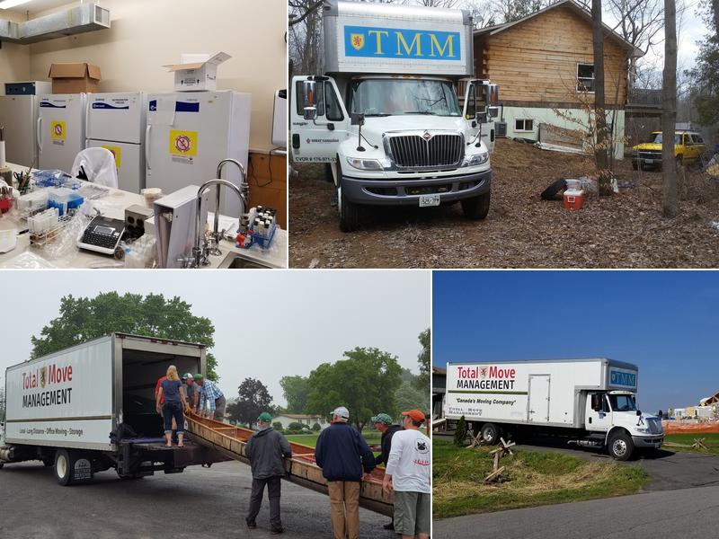 Total Move Management