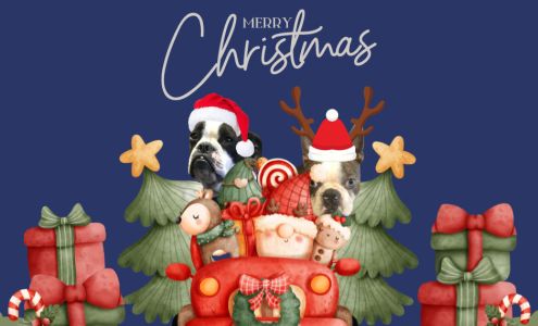 101 Collision Auto Repair Ltd 250 Exeter Station Rd, 100 Mile House British Columbia V0K 2E0