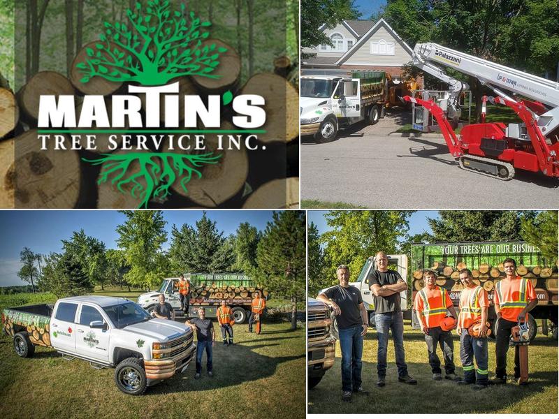 Pinnacle Tree And Shrub Care