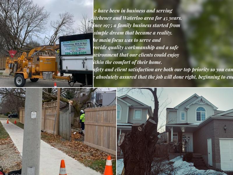 A - 1 Year Round Tree Service