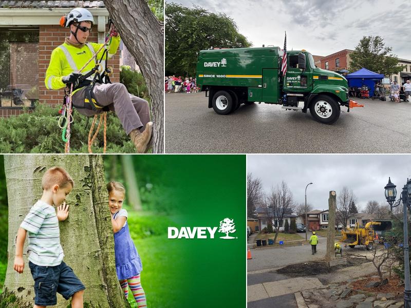 Davey Tree Expert Co. of Canada, Limited