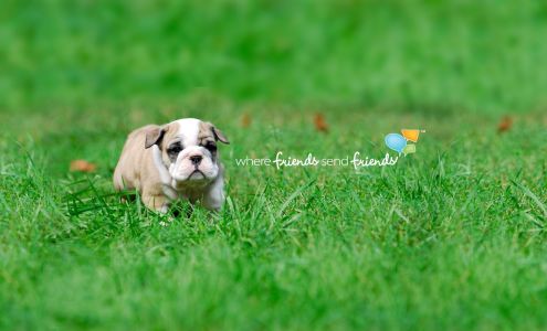 Greyfair Flooring, Inc.