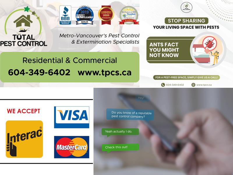 Total Pest Control Ltd - Pest Exterminators Surrey