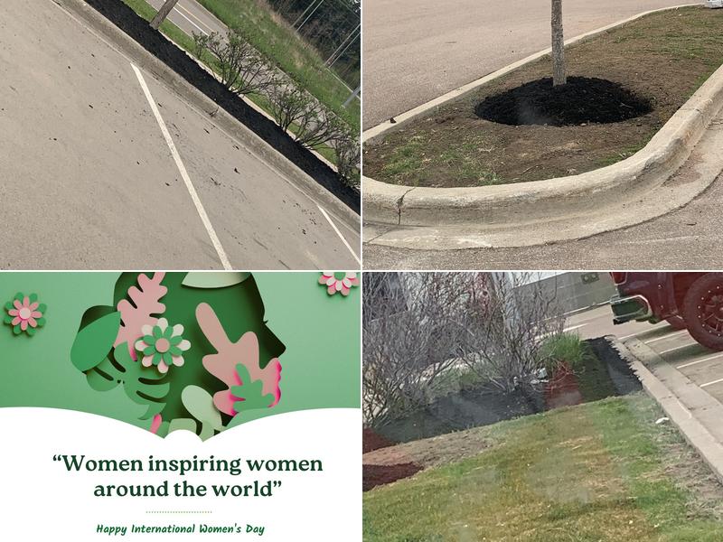 Lawn Rangers Landscaping