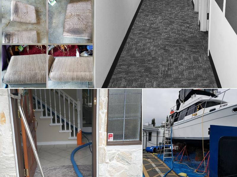 Nanaimo Carpet Cleaning