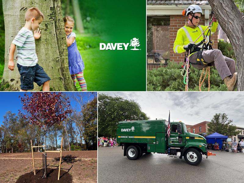 Davey Tree Expert Co. Of Canada, Limited