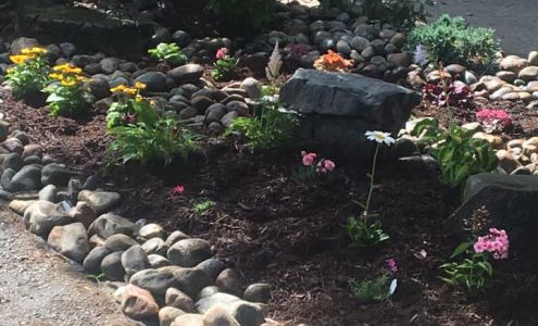 Don Park Landscaping & Gardening Ltd.