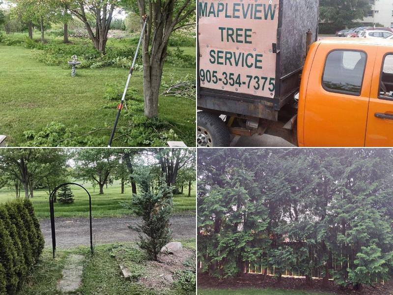 Mapleview Tree Service