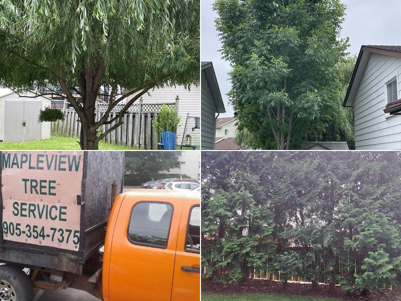 Mapleview Tree Service