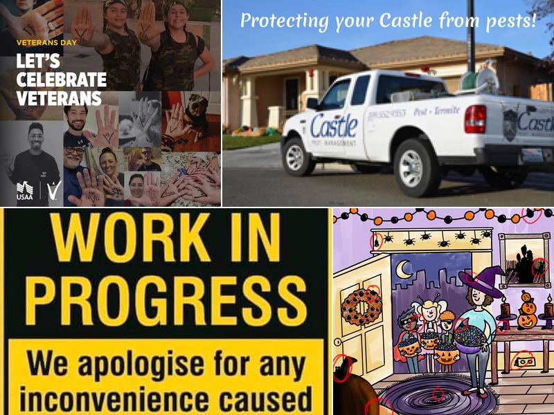Castle Pest Management