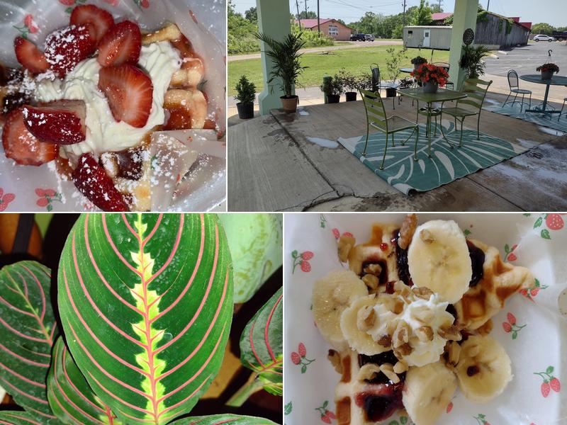 SOLID GROUNDS 275B Pickwick St, Savannah