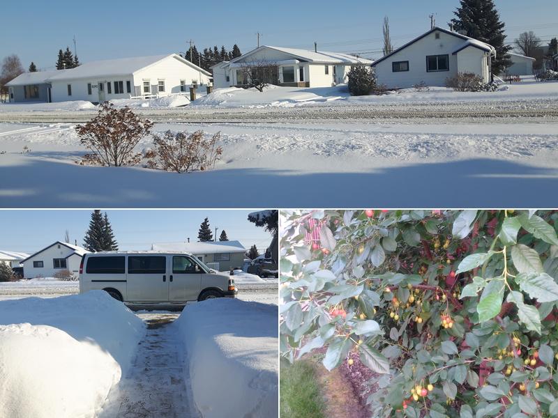 Westlock Auto Electric 1994