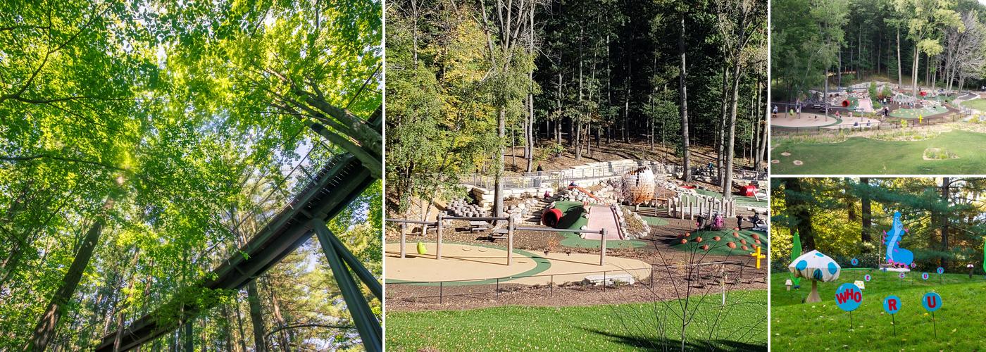 Whiting Forest of Dow Gardens