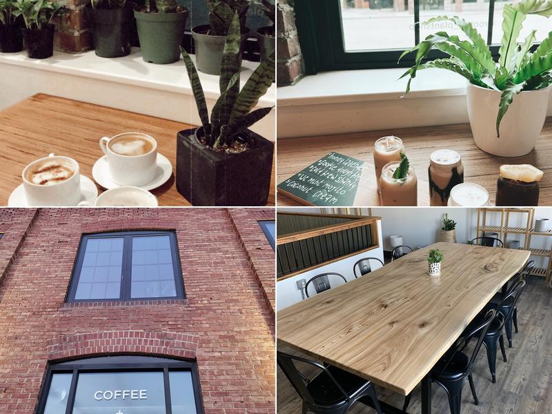 Rooted Plant + Coffee Shop
