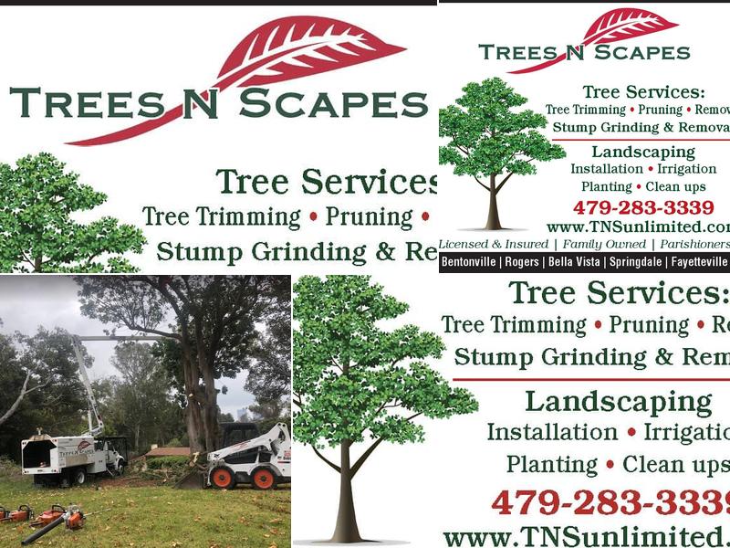 Trees N Scapes Unlimited