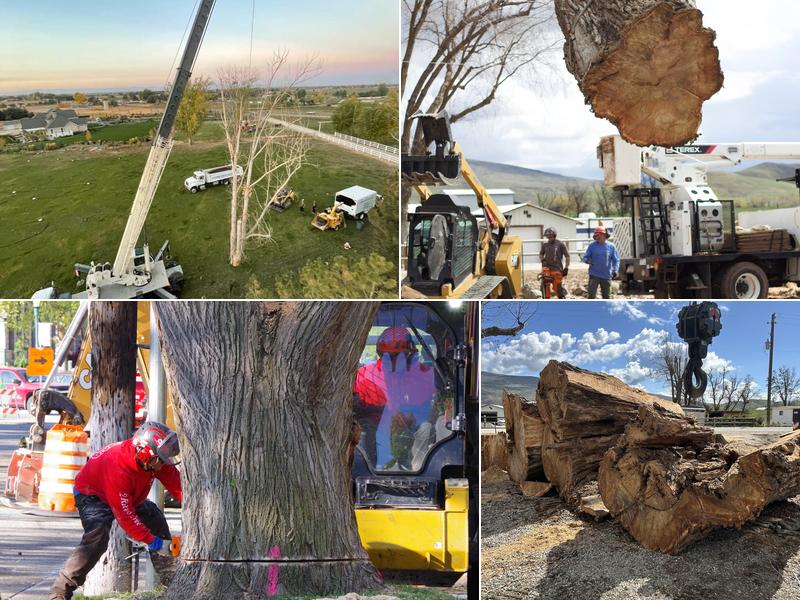 2 Rivers Tree Service & Hardscapes