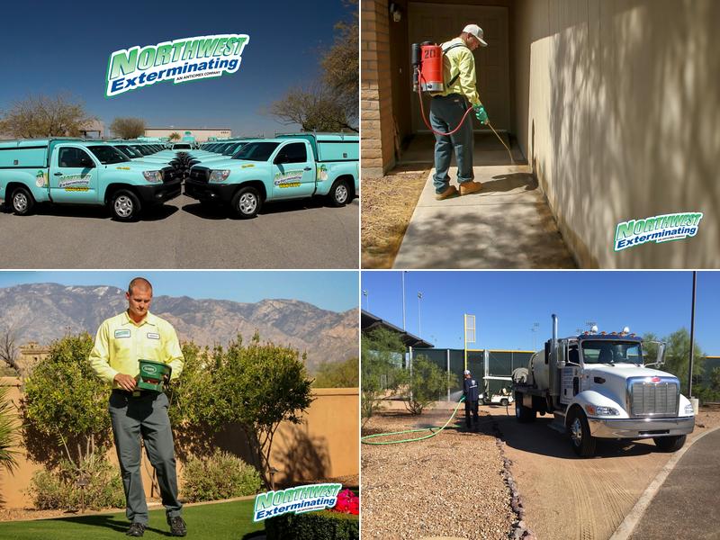 Northwest Exterminating