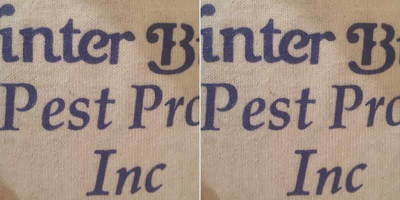 Winter Bros Termite, Pest, and Pigeon Pros