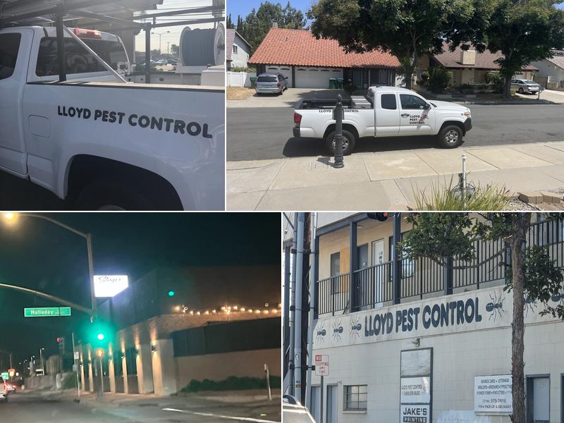 Lloyd Pest & Termite Control