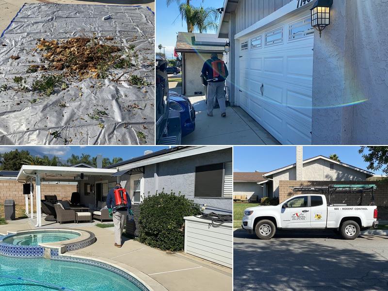 A Cal Pest Control Services Inc