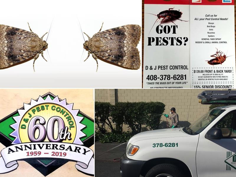 D & J Pest Control Inc.