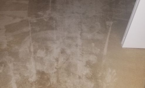 Phoenix Green Carpet Cleaning Inc