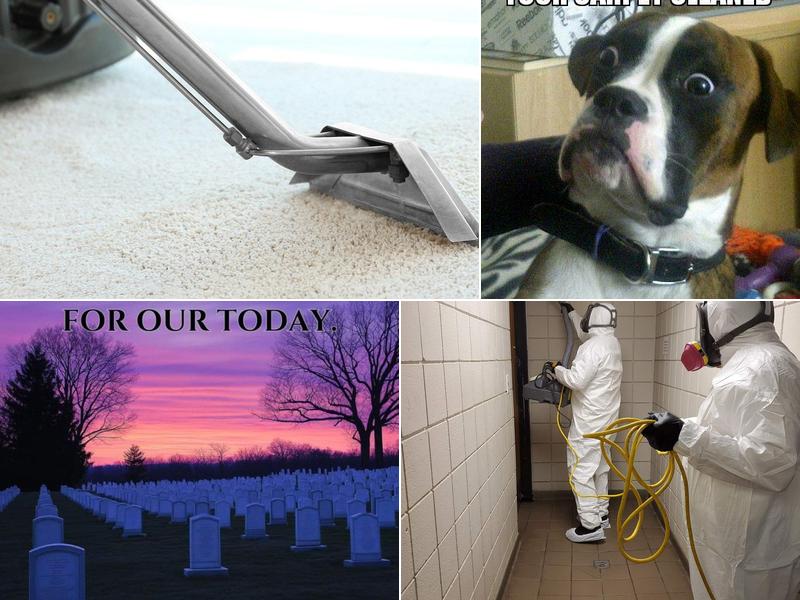 Xtreme Carpet Cleaning