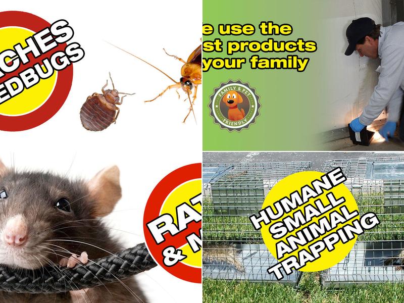 Anderson Pest Control