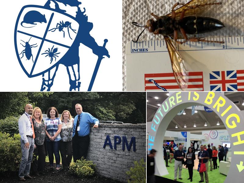 Pennsauken Advanced Pest Management