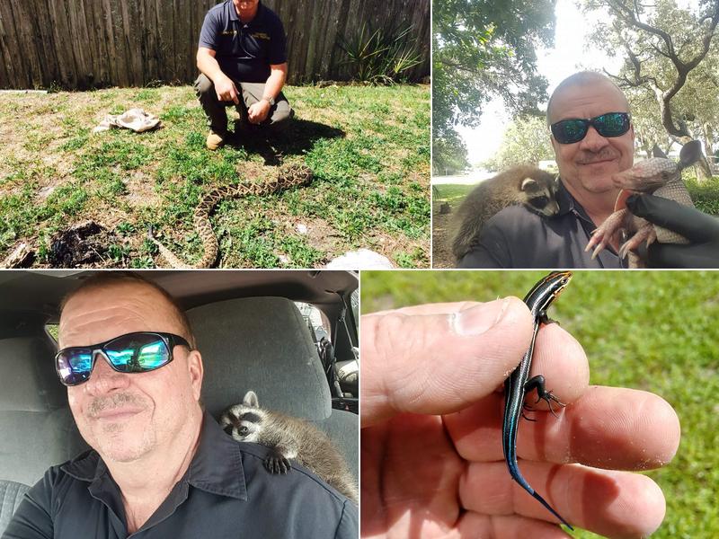 Highspeed Animal Trapping NO DOGS OR CATS