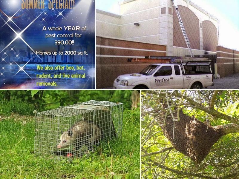 Pro Tech Pest Control Specialists, Inc.