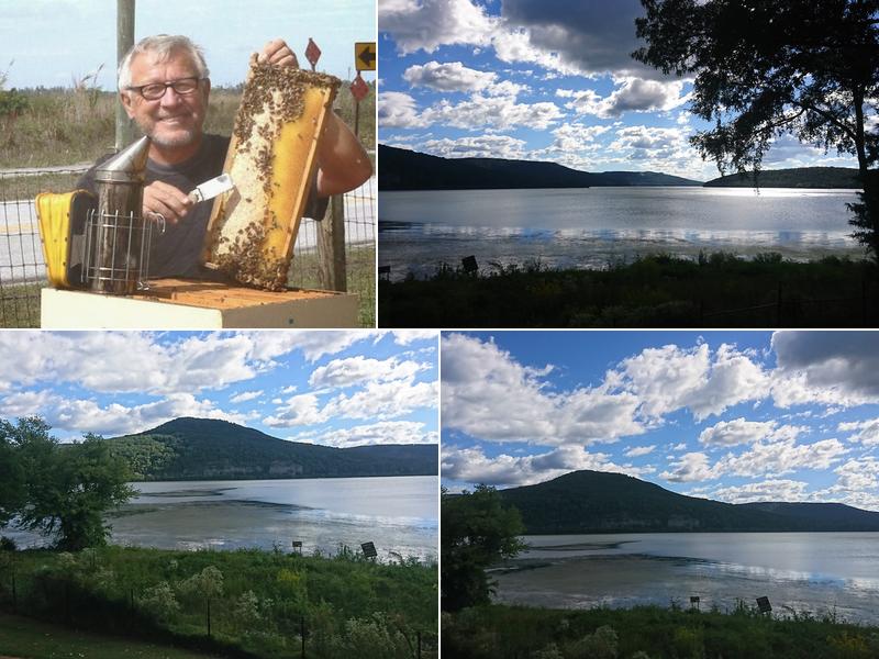 Bee Removal Beekeepers