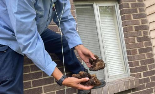 All Gone Termite & Pest Control