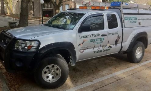 Lambert's Wildlife Services