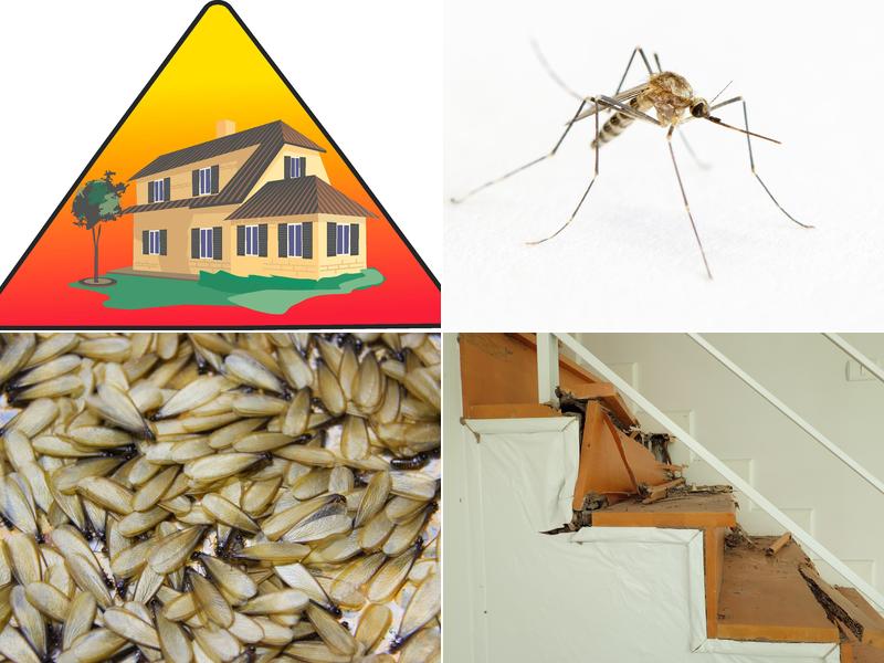 Triangle Home Services Inc.