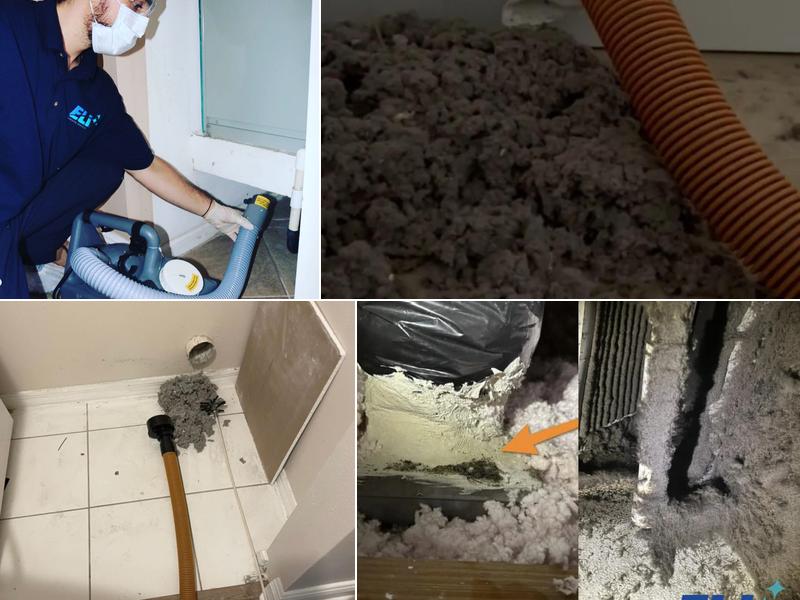 Eli Cleaning Services