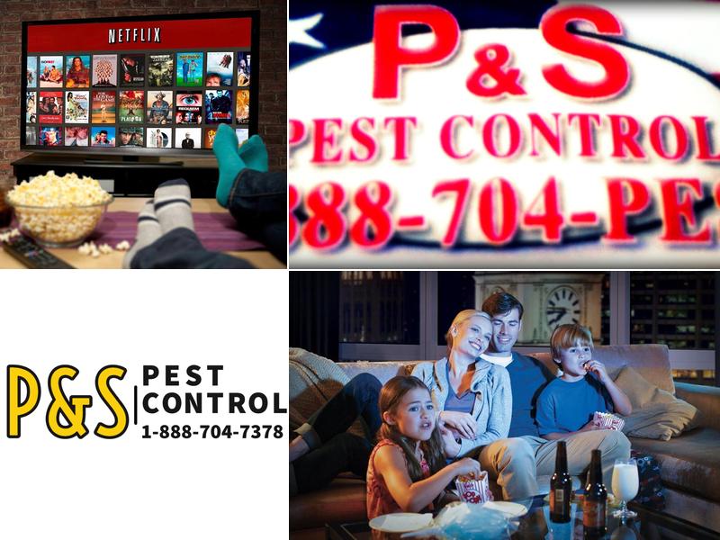 P & S Pest Control