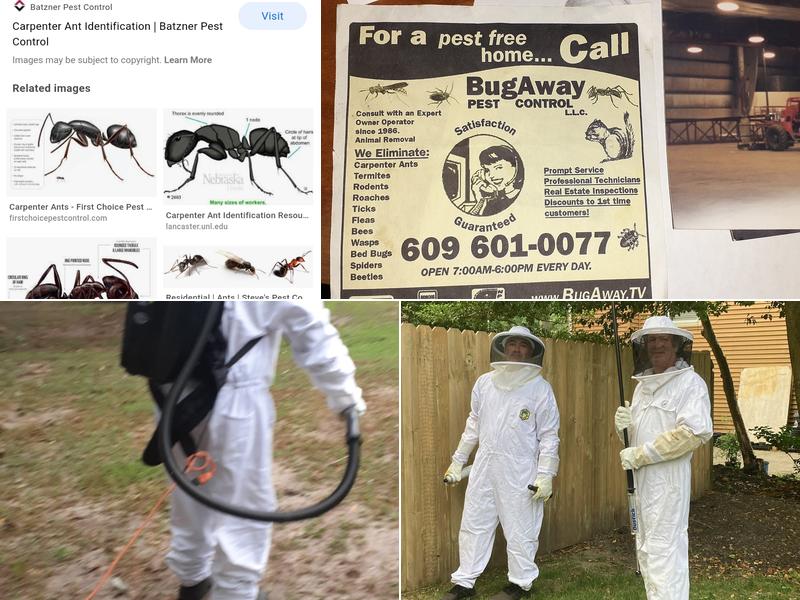 Bug Away Pest Control