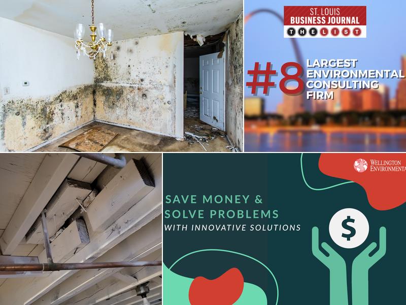 Wellington Environmental