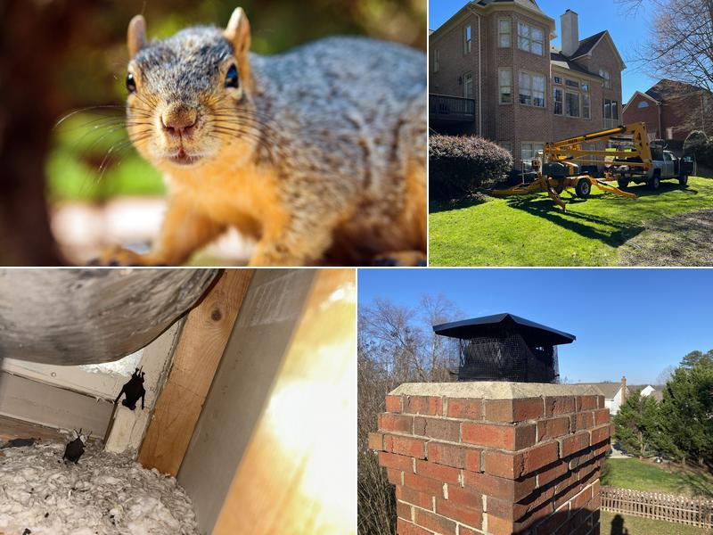 Varmint Gone Matthews