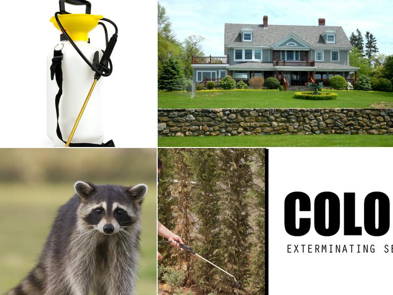 Colonel Exterminating Service Inc.