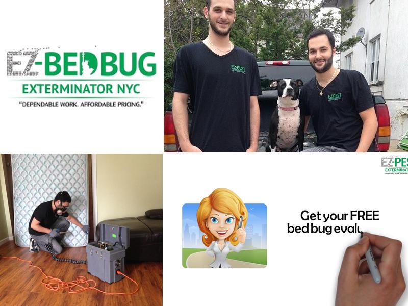EZ Bed Bug Exterminator NYC