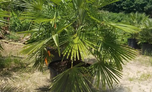 Golden Landscaping Supply