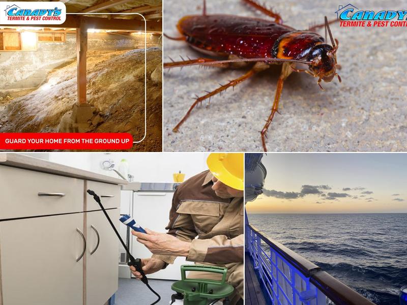Canady's Termite & Pest Control