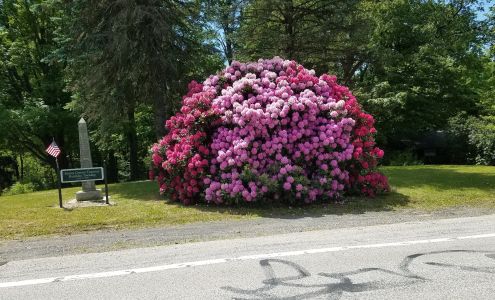 Animal-X Nuisance Animal 10894 Claridon Troy Rd, Chardon Ohio 44024