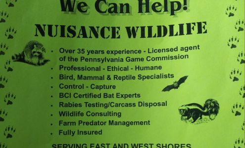 Nuisance Wildlife 403 4th St, Summerdale Pennsylvania 17093