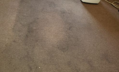 Prestige Carpet Cleaning and Restoration 157 Summit Dr, Ridgeley West Virginia 26753